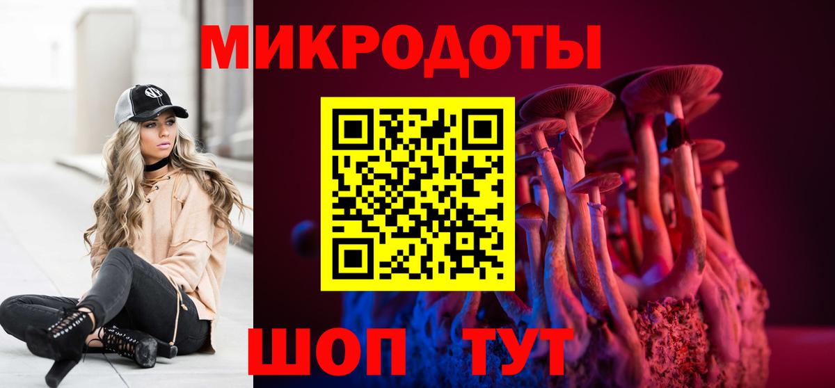 Вольск  Галлюциногенные грибы Psilocybine cubensis  Вход с VPN 
